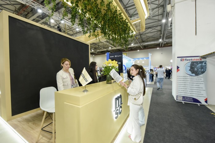 展览（2026）